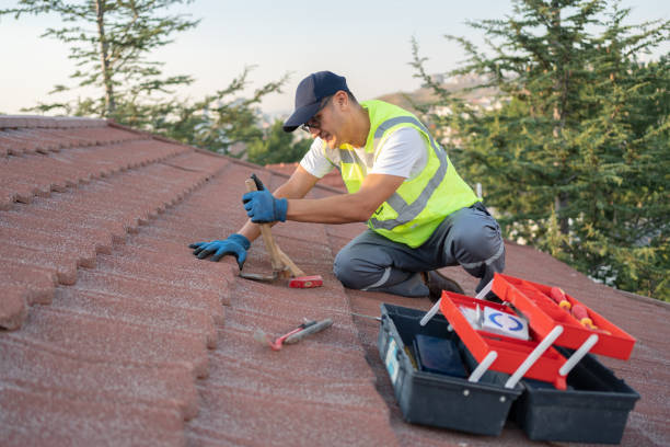 Best Tile Roofing Contractor  in Pepeekeo, HI